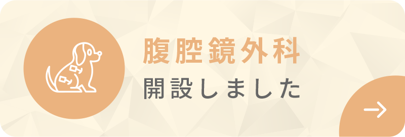 腹腔鏡外科開設しました